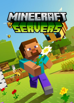Minecraft Server Java